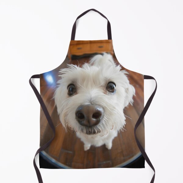 Item preview, Fisheye dog : let me in please designed and sold by Brendon987.