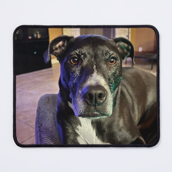 Item preview, Will you let me snuggle?  designed and sold by AnimalsNJackie.