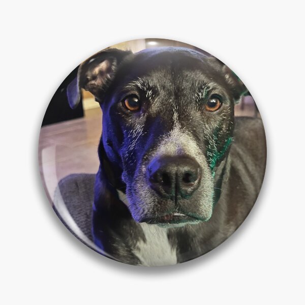 Artikelvorschau, Darf ich kuscheln? entworfen und verkauft von AnimalsNJackie.