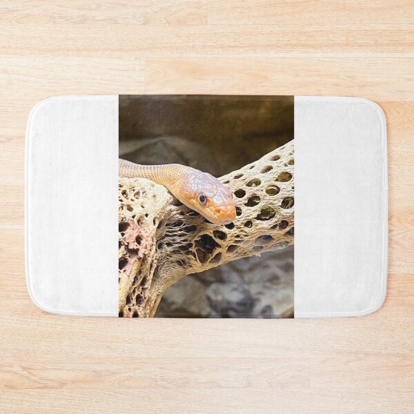 Item preview, Snake says hello there.  designed and sold by AnimalsNJackie.