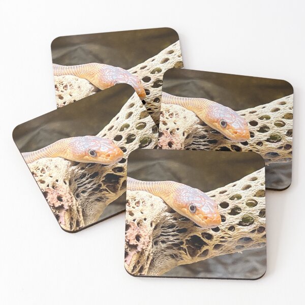 Item preview, Snake says hello there.  designed and sold by AnimalsNJackie.