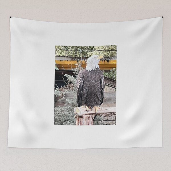 Item preview, Majesty in the form of an eagle designed and sold by AnimalsNJackie.