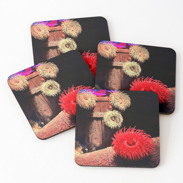 Item preview, Sea anemones are vibrant designed and sold by AnimalsNJackie.