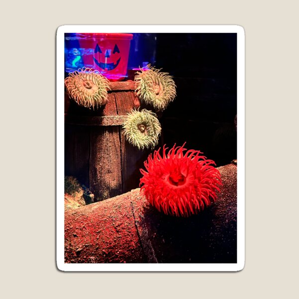 Item preview, Sea anemones are vibrant designed and sold by AnimalsNJackie.