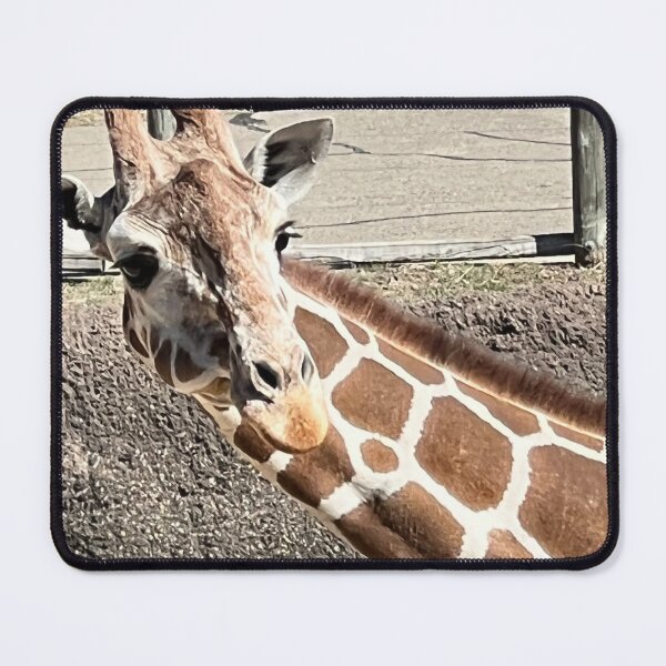 Item preview, Giraffes are fabulous and goofy designed and sold by AnimalsNJackie.