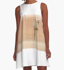 White camel, UAE A-Line Dress