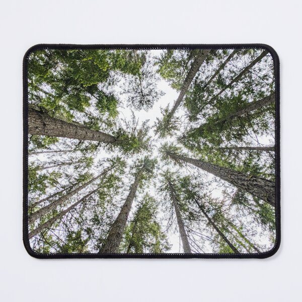 Item preview, Forest Trees From Below, Looking Up Into Trees designed and sold by EnchantedWishes.