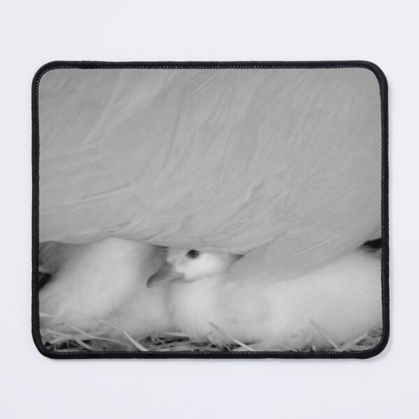 Item preview, Duckling for cover designed and sold by Penny Kittel.