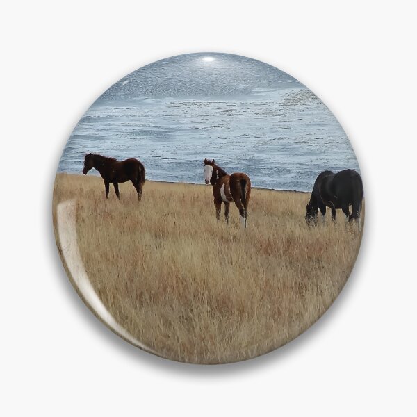 Item preview, White Faced Filly with Mates by a Lake designed and sold by Vivar Photo.