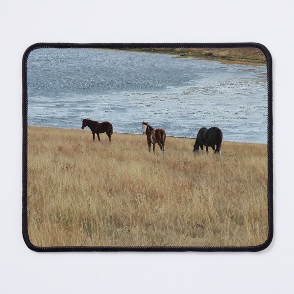 Item preview, White Faced Filly with Mates by a Lake designed and sold by Vivar Photo.