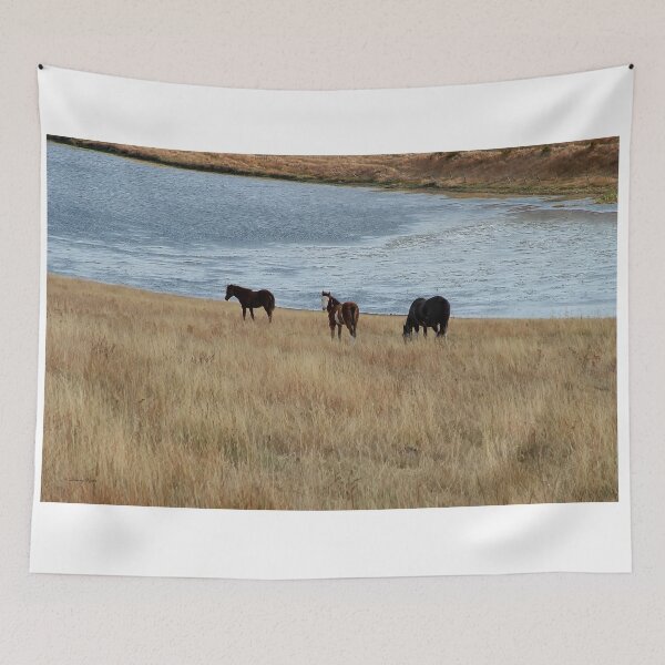 Item preview, White Faced Filly with Mates by a Lake designed and sold by Vivar Photo.