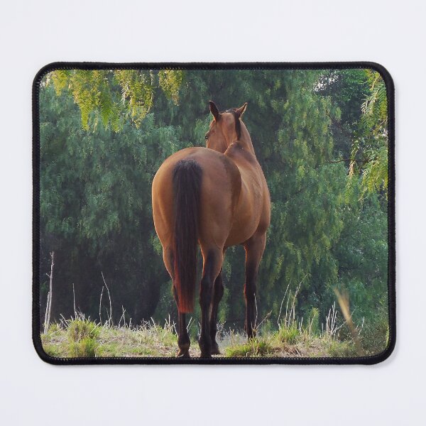 Item preview, Peppercorn Bay designed and sold by Penny Kittel.