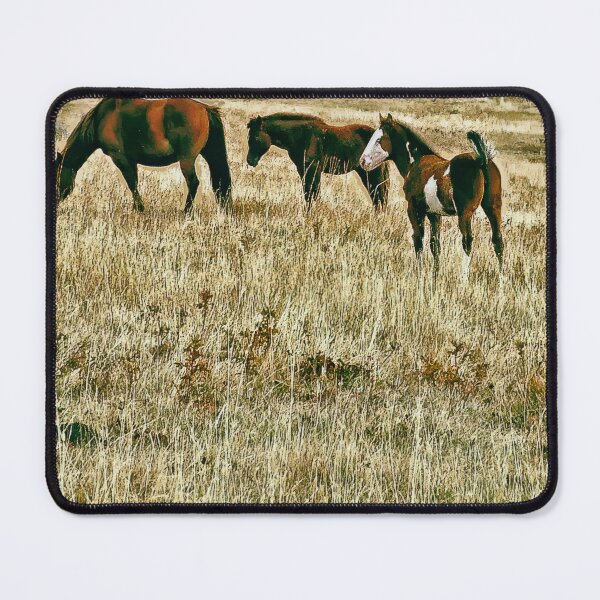 Item preview, High Tailed Filly in Parched Grass with Friends  designed and sold by Vivar Photo.