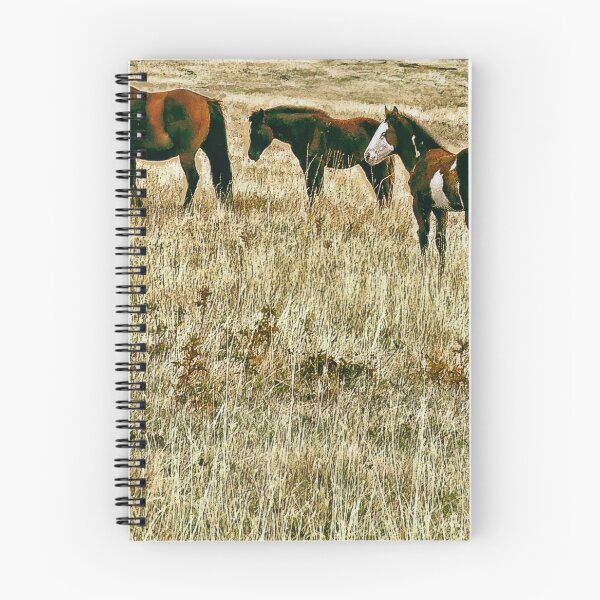 Item preview, High Tailed Filly in Parched Grass with Friends  designed and sold by Vivar Photo.