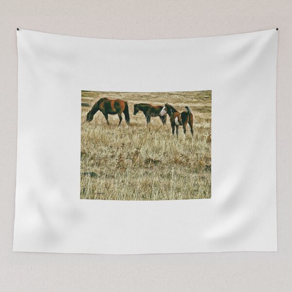 Item preview, High Tailed Filly in Parched Grass with Friends  designed and sold by Vivar Photo.