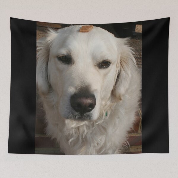Item preview, "Stay..." designed and sold by SarahEL17.