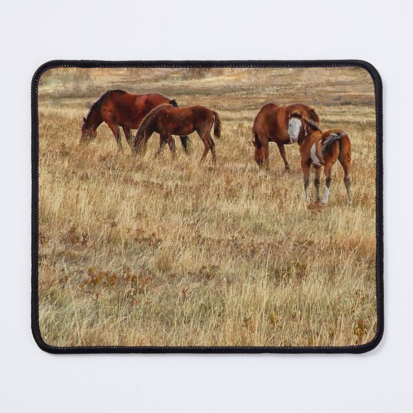 Item preview, Little Paint Filly with a White Face designed and sold by Vivar Photo.