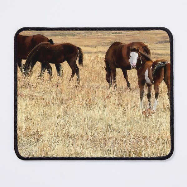 Item preview, Little Paint Filly with a White Face designed and sold by Vivar Photo.