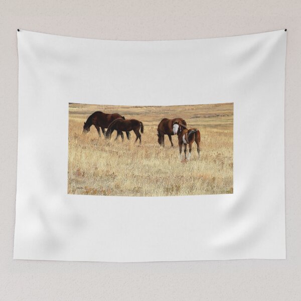 Item preview, Little Paint Filly with a White Face designed and sold by Vivar Photo.