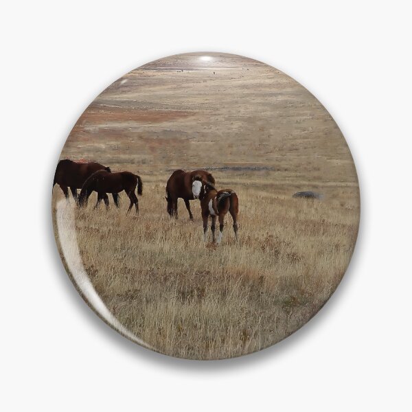 Item preview, Little White-Faced Paint Filly with Family designed and sold by Vivar Photo.