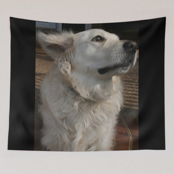 Item preview, "Yes!" designed and sold by SarahEL17.