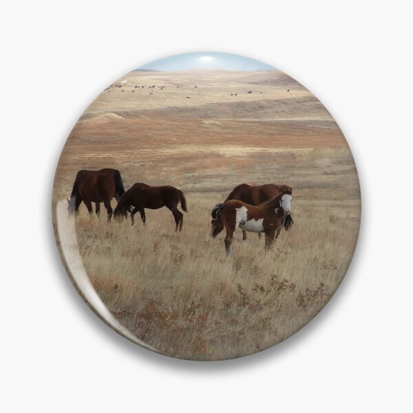 Item preview, White Faced Paint Filly Looking Out designed and sold by Vivar Photo.