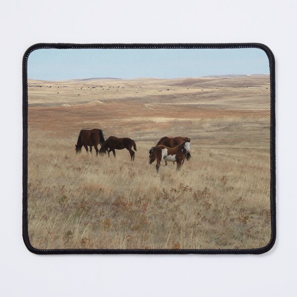 Item preview, White Faced Paint Filly Looking Out designed and sold by Vivar Photo.