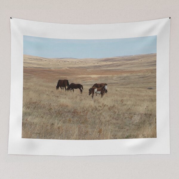 Item preview, White Faced Paint Filly Looking Out designed and sold by Vivar Photo.