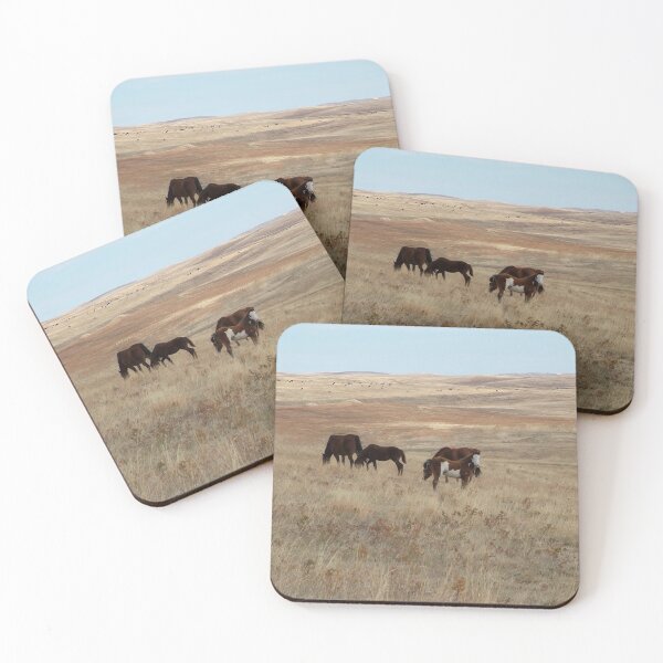 Item preview, White Faced Paint Filly Looking Out designed and sold by Vivar Photo.