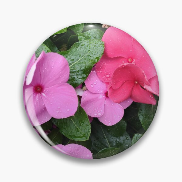 Item preview, Pink Periwinkles designed and sold by SCTBUFFALOPHOTO.