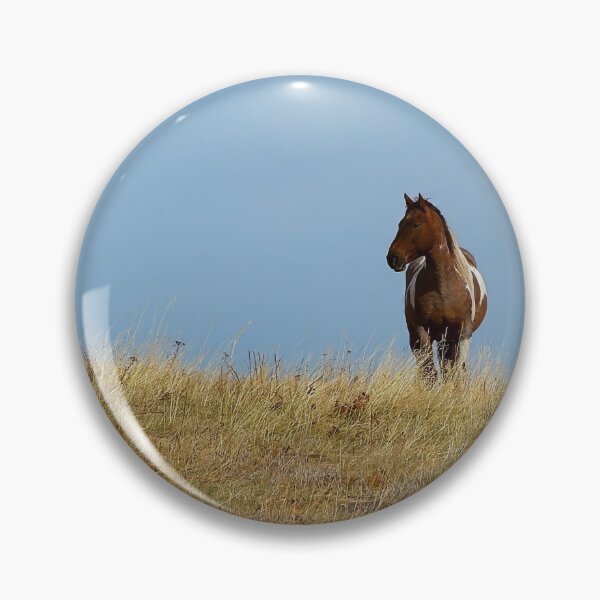 Item preview, Solitary Paint Horse on a Hill designed and sold by Vivar Photo.
