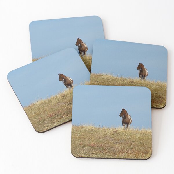 Item preview, Solitary Paint Horse on a Hill designed and sold by Vivar Photo.