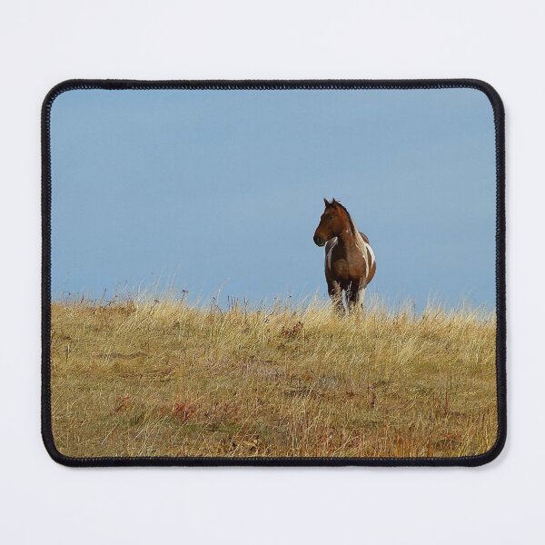 Item preview, Solitary Paint Horse on a Hill designed and sold by Vivar Photo.
