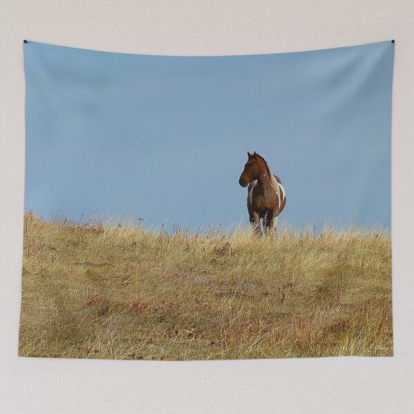 Item preview, Solitary Paint Horse on a Hill designed and sold by Vivar Photo.