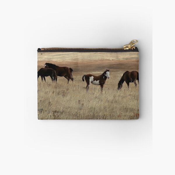 Item preview, Paint Filly with a White Face designed and sold by Vivar Photo.