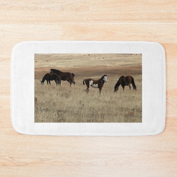 Item preview, Paint Filly with a White Face designed and sold by Vivar Photo.