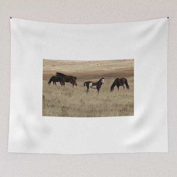 Item preview, Paint Filly with a White Face designed and sold by Vivar Photo.