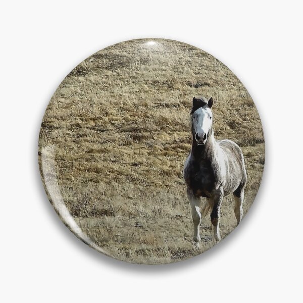 Item preview, Pale Horse on Alert designed and sold by Vivar Photo.
