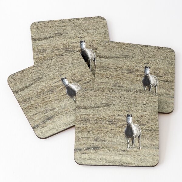 Item preview, Pale Horse on Alert designed and sold by Vivar Photo.