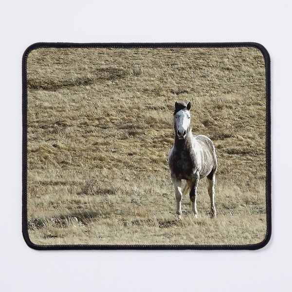 Item preview, Pale Horse on Alert designed and sold by Vivar Photo.