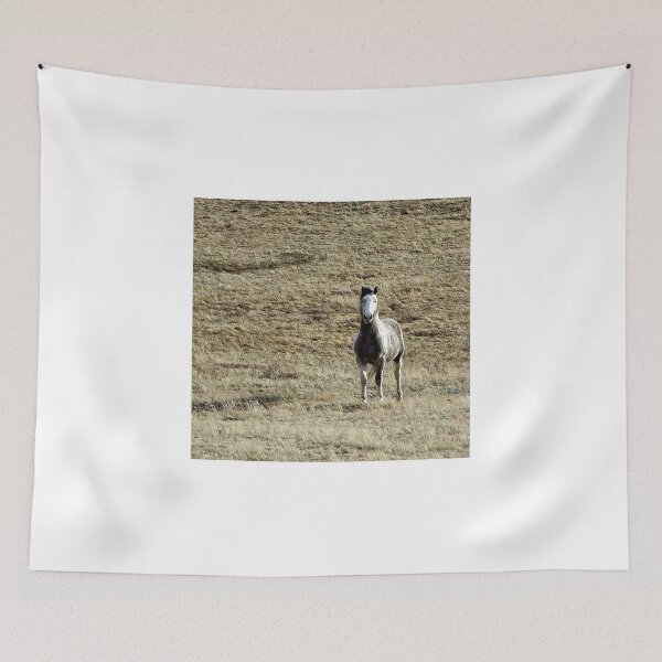 Item preview, Pale Horse on Alert designed and sold by Vivar Photo.