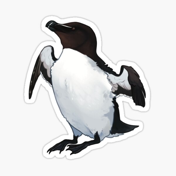 razorbill Sticker