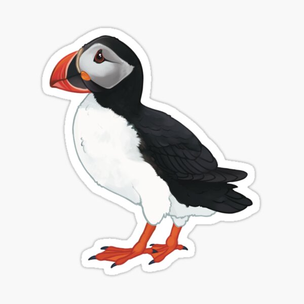 atlantic puffin Sticker