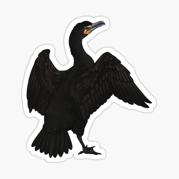 Item preview, double-crested cormorant  designed and sold by noooodledog.
