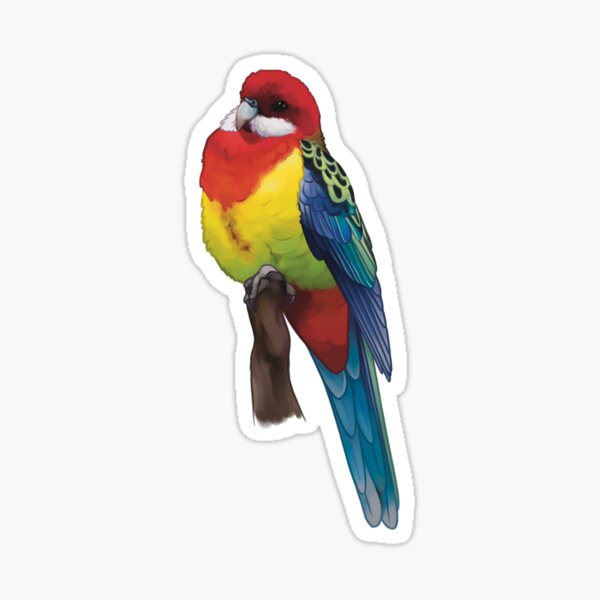 eastern rosella Sticker