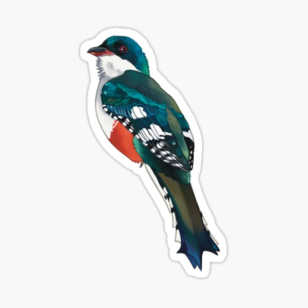 cuban trogon Sticker