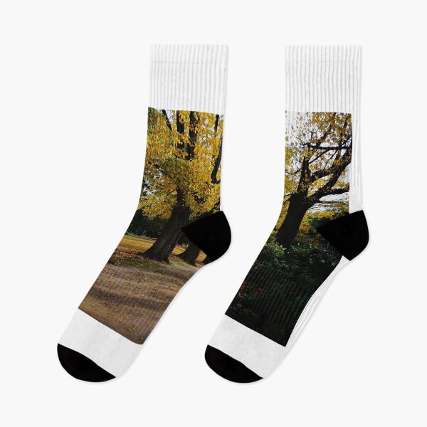 Item preview, Avenue of Elms 2  designed and sold by D-GaP.