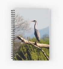 Heron on the Lune Spiral Notebook