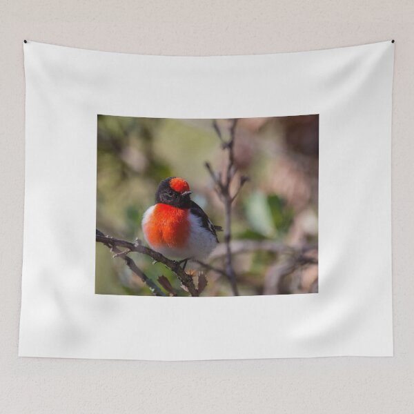 Item preview, Buenos días Mr Robin designed and sold by Rick Playle.