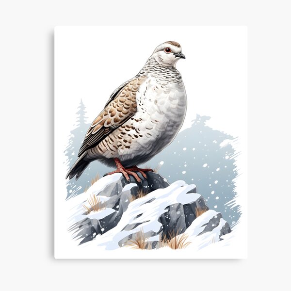 Item preview, Rock Ptarmigan | Ptarmigan designed and sold by DerSenat.